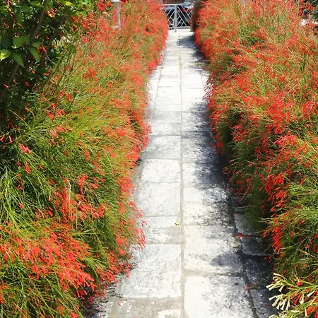 By The Sea Orebic, Peljesac - 641 شقة أوروبيتش