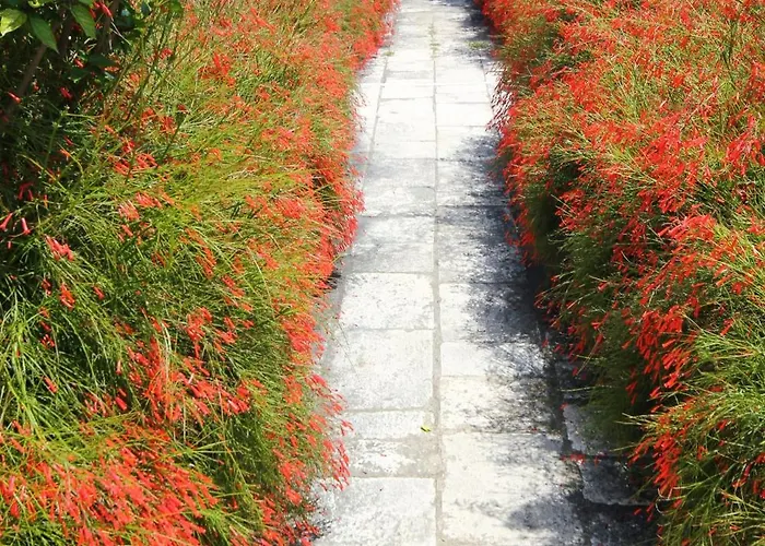 By The Sea Orebic, Peljesac - 641 Lejlighed Orebić